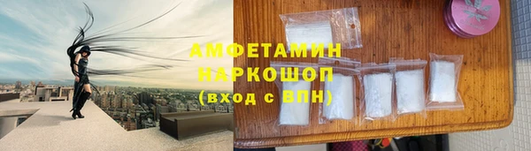 индика Сатка