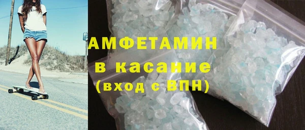 индика Сатка
