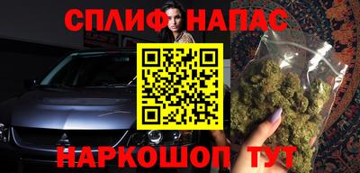 СК Новоалександровск