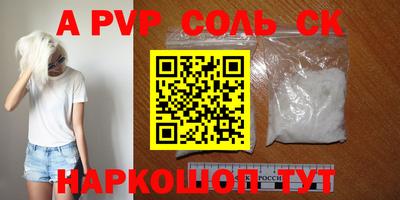 СК Новоалександровск