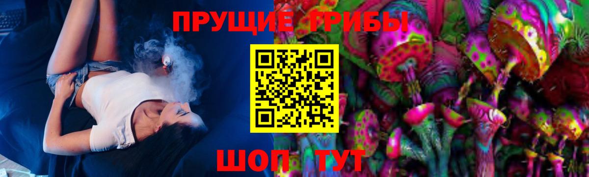 Апшеронск  Галлюциногенные грибы Psilocybine cubensis  как найти закладки  Вход с VPN  Псилоцибиновые грибы Psilocybine cubensis 